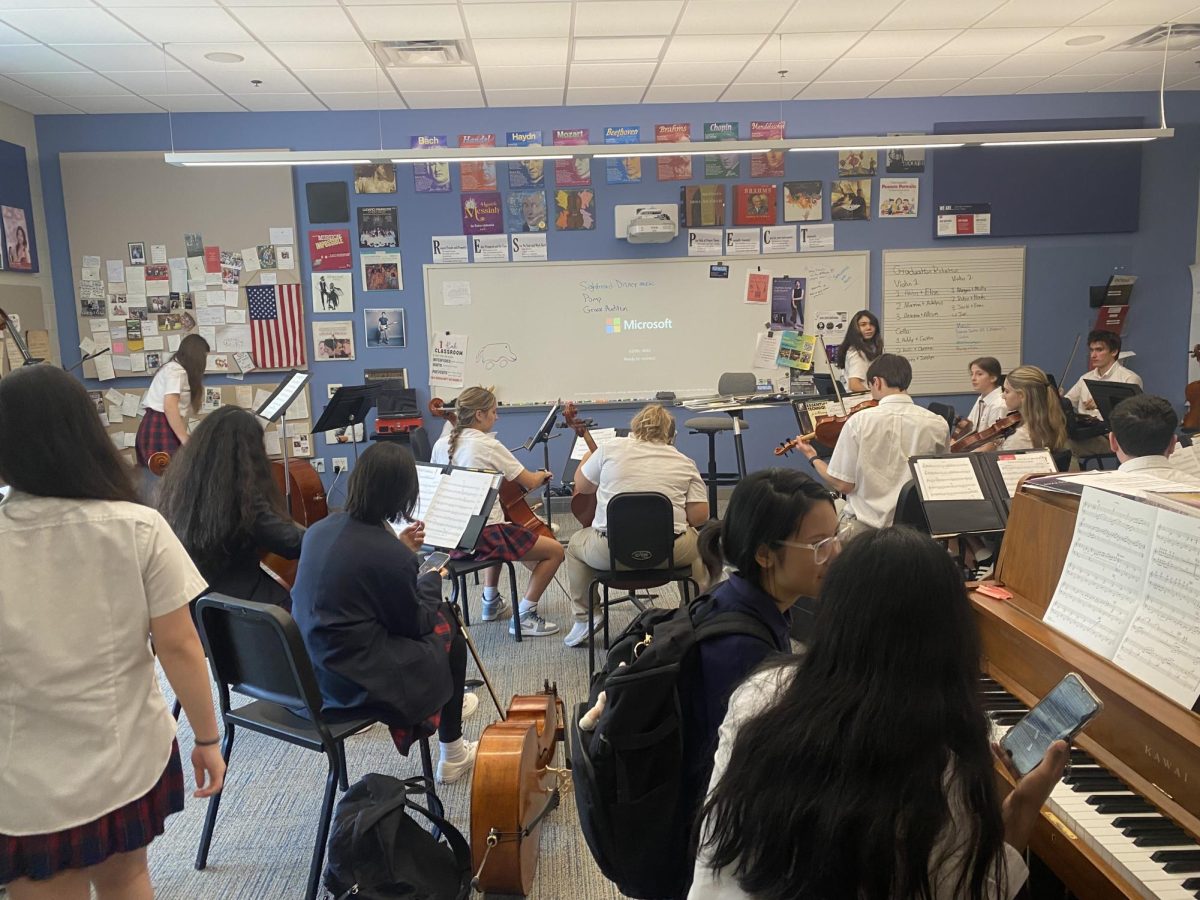 From curiosity to career paths: The impact of electives